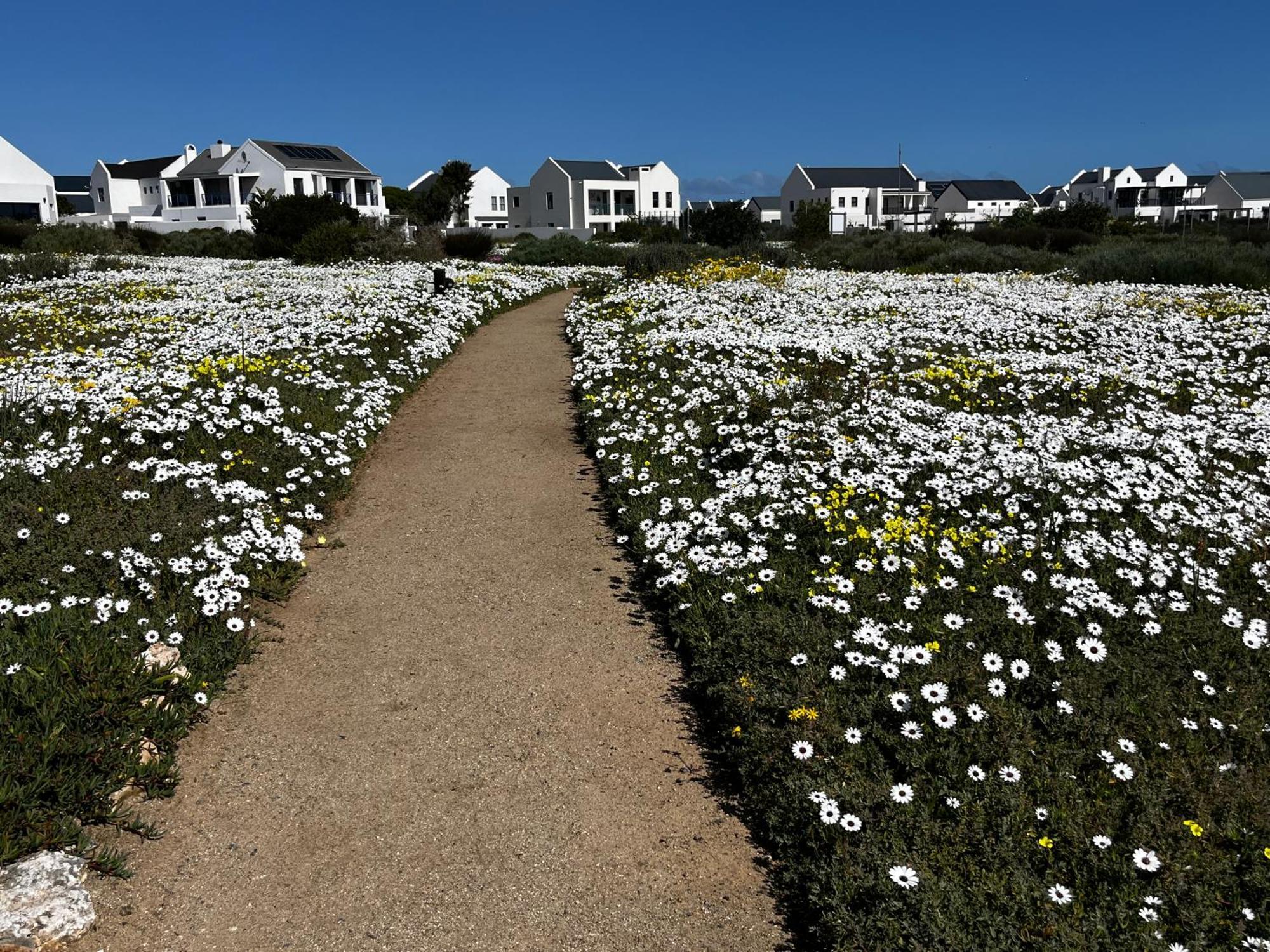 Clam Lagoon Langebaan Luaran gambar